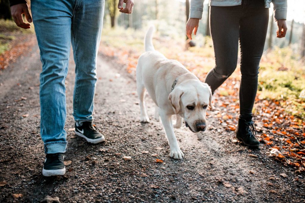 Paarshooting auf der Burg Lichtenberg in Oberstenfeld