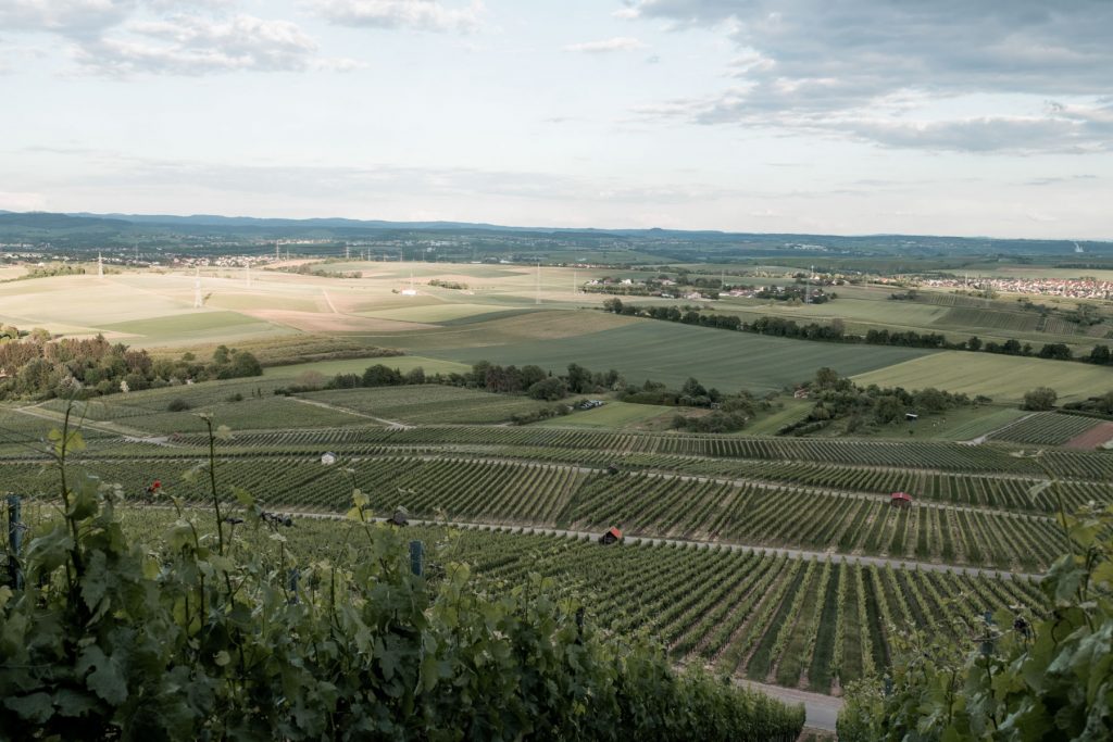 Hochzeit Heuchelberger Warte Heilbronn