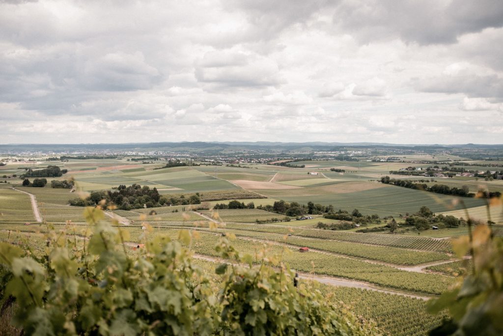 Hochzeit Heuchelberger Warte Heilbronn