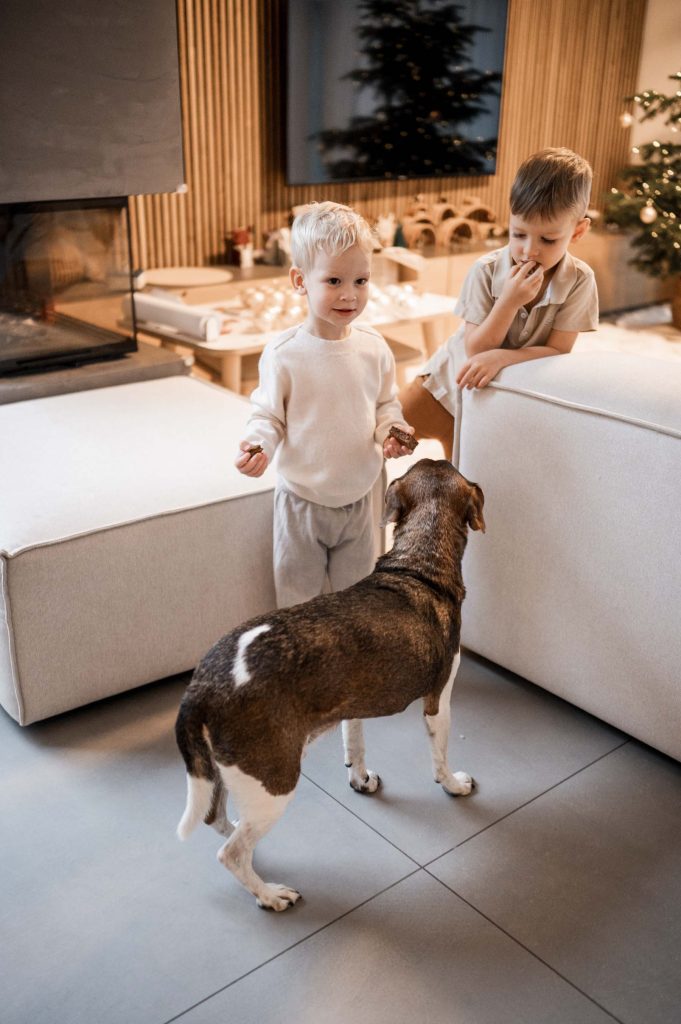 Weihnachtshomestory Stuttgart