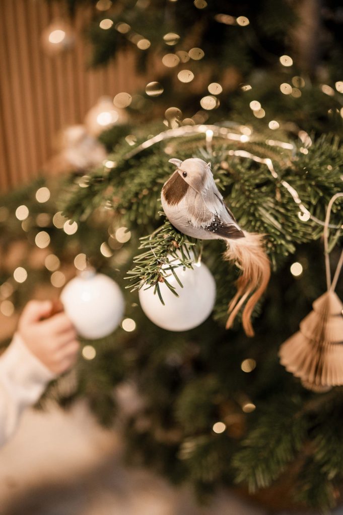 Weihnachtsshooting Stuttgart