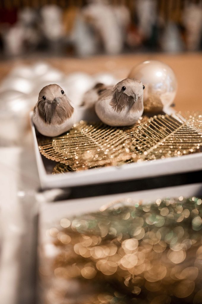 Weihnachtsshooting Stuttgart