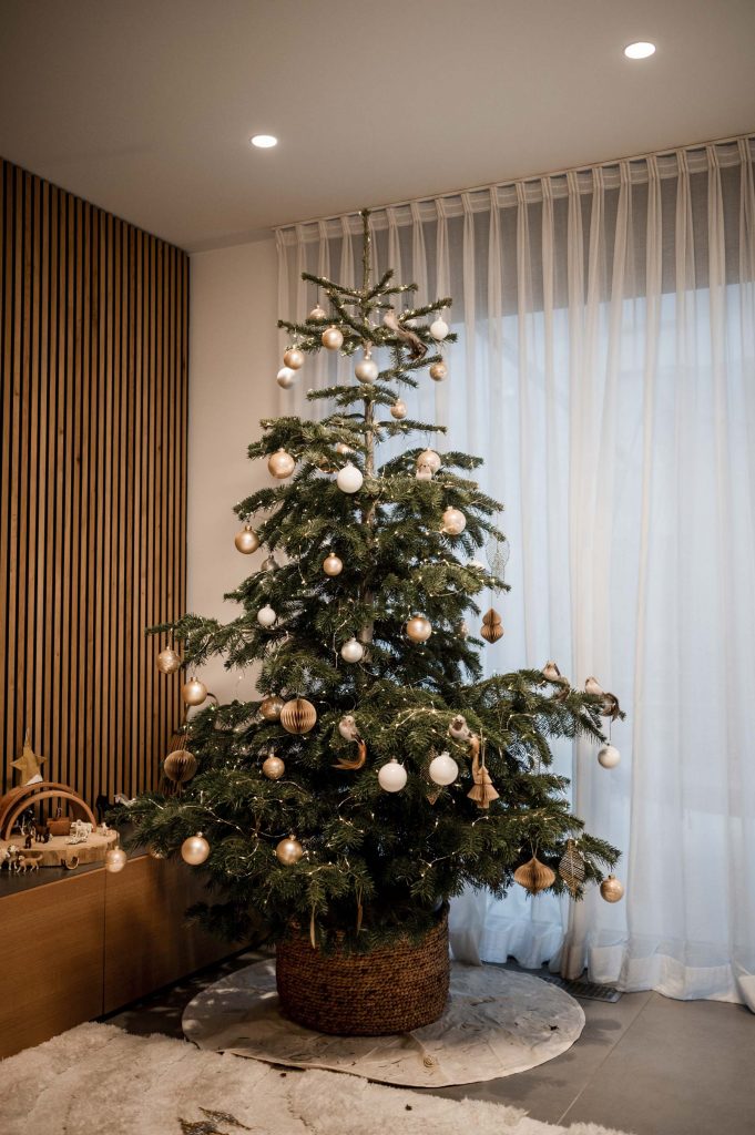 Weihnachtsshooting Stuttgart