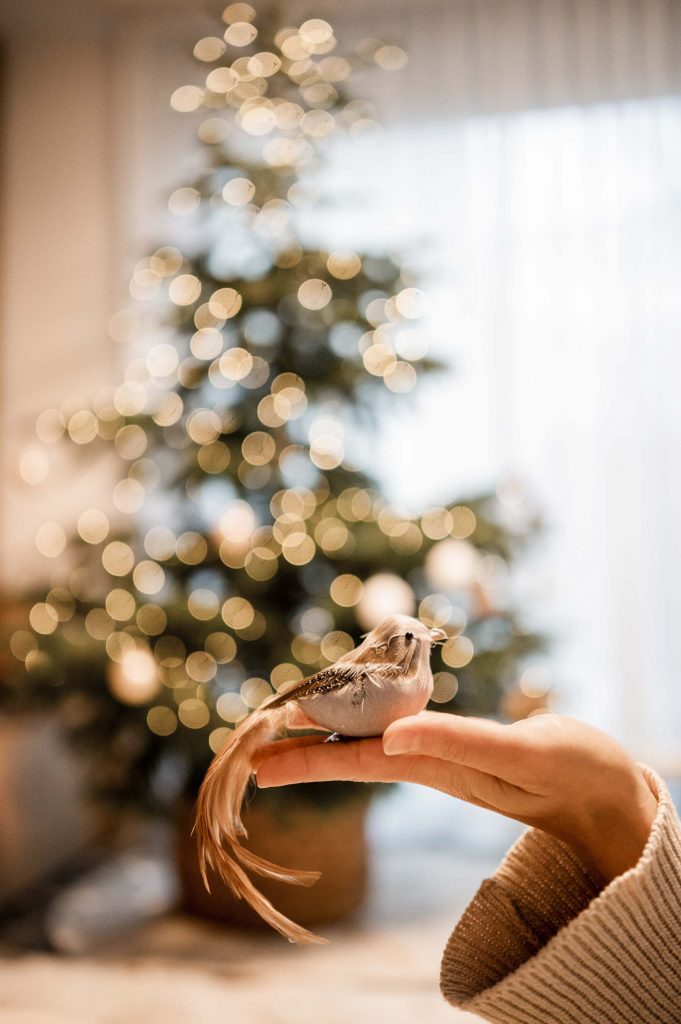 Weihnachtshomestory Stuttgart