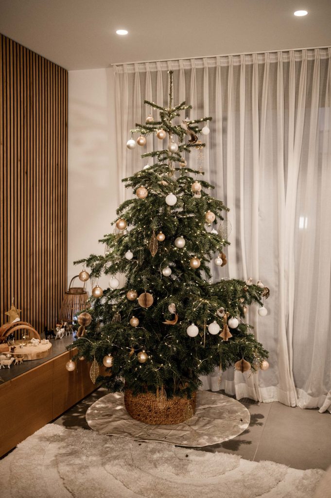 Weihnachtshomestory Stuttgart