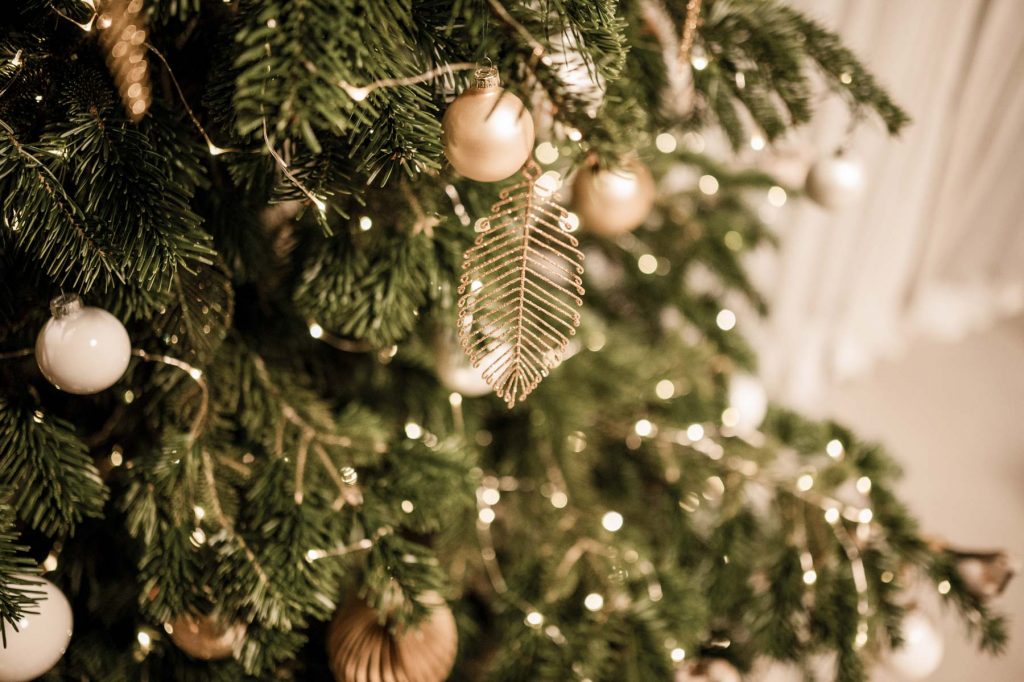 Weihnachtsshooting zu Hause Stuttgart