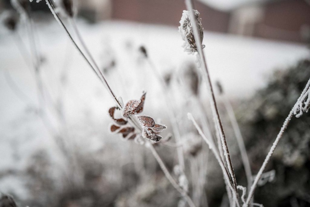 Winterhochzeit Heilbronn