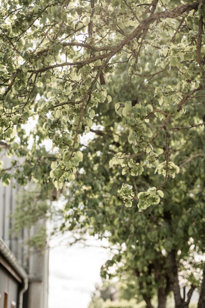 Hochzeitsfotograf Heilbronn