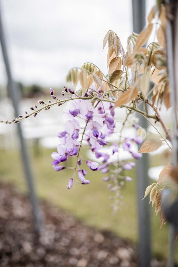 Hochzeitslocation Heilbronn