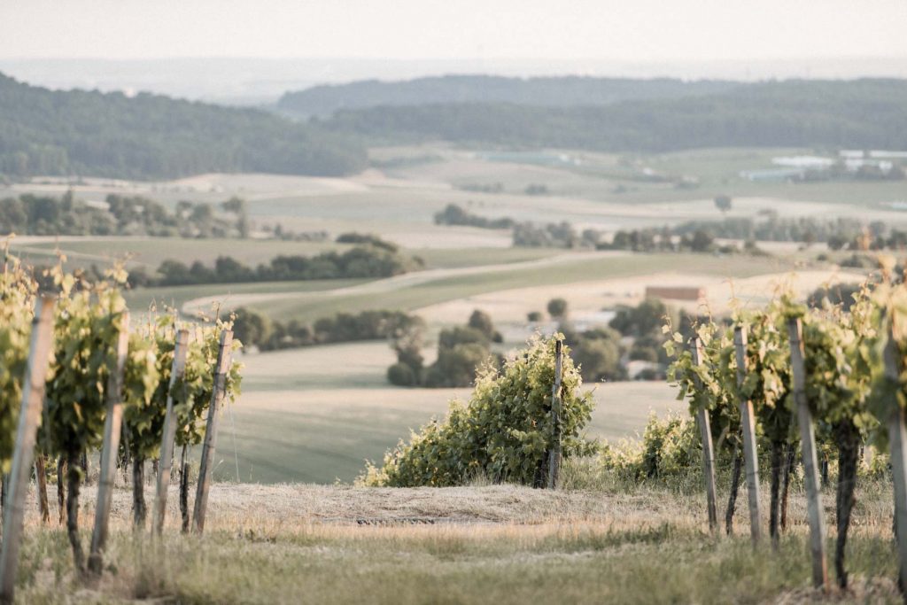 Hochzeit Amalienhof Beilstein