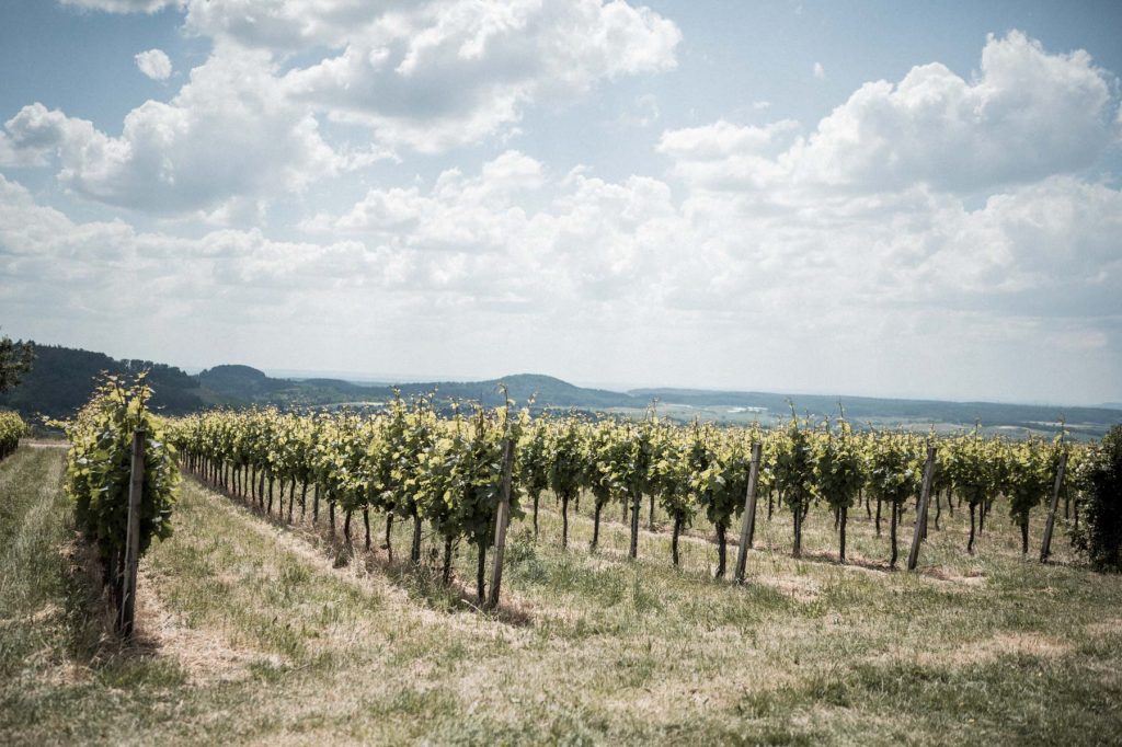 Hochzeit Amalienhof Beilstein