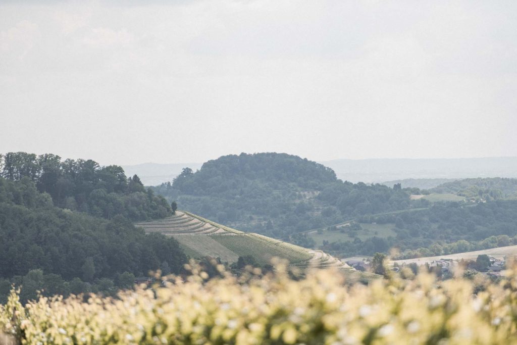Hochzeit Amalienhof Beilstein