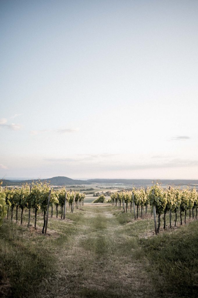 Hochzeit Amalienhof Beilstein
