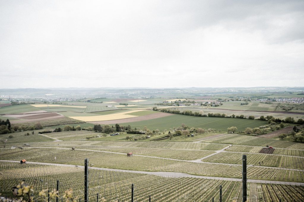 Hochzeit Heuchelberger Warte