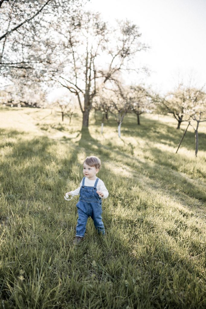 Frühlingsminis Heilbronn