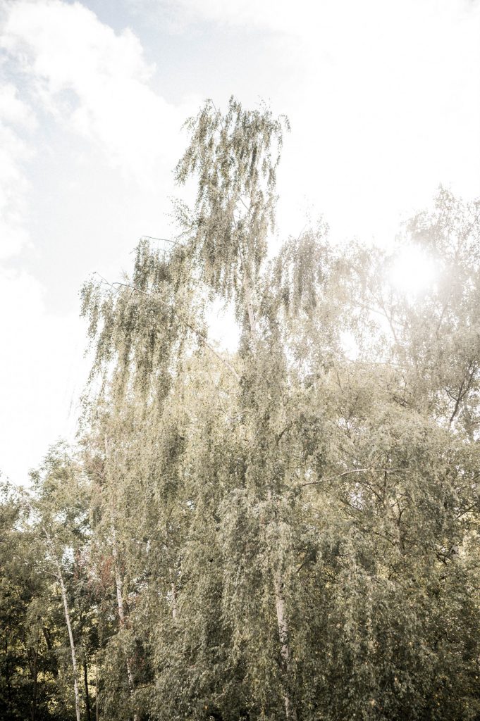 Hochzeitslocation Leonberg