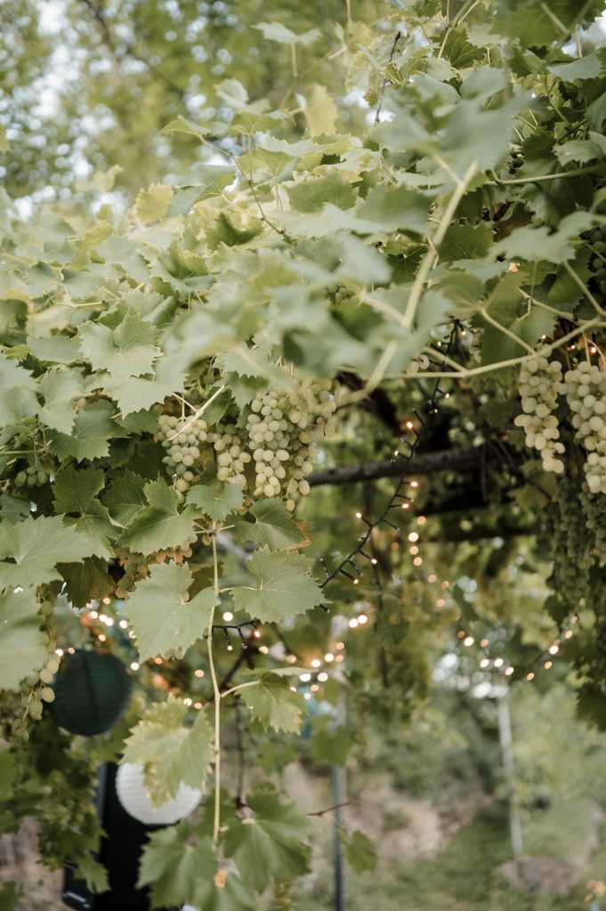 Hochzeitslocation Leonberg