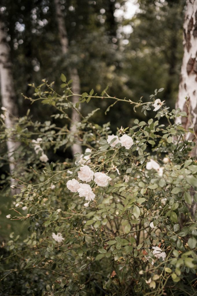 Hochzeit Fleischmühle Leonberg