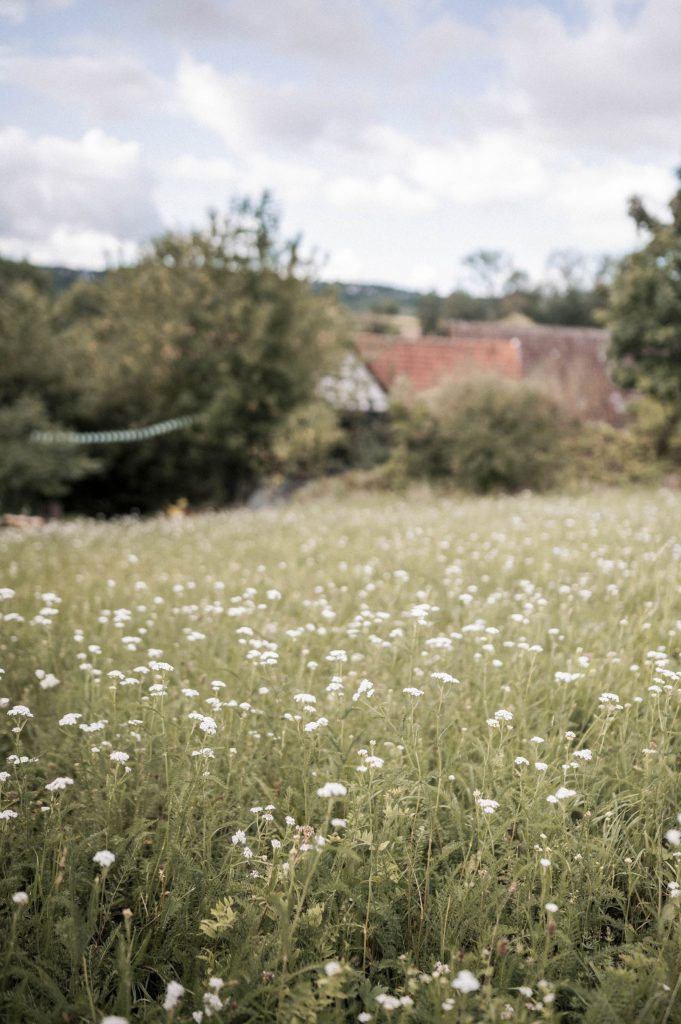 Hochzeit Fleischmühle Leonberg