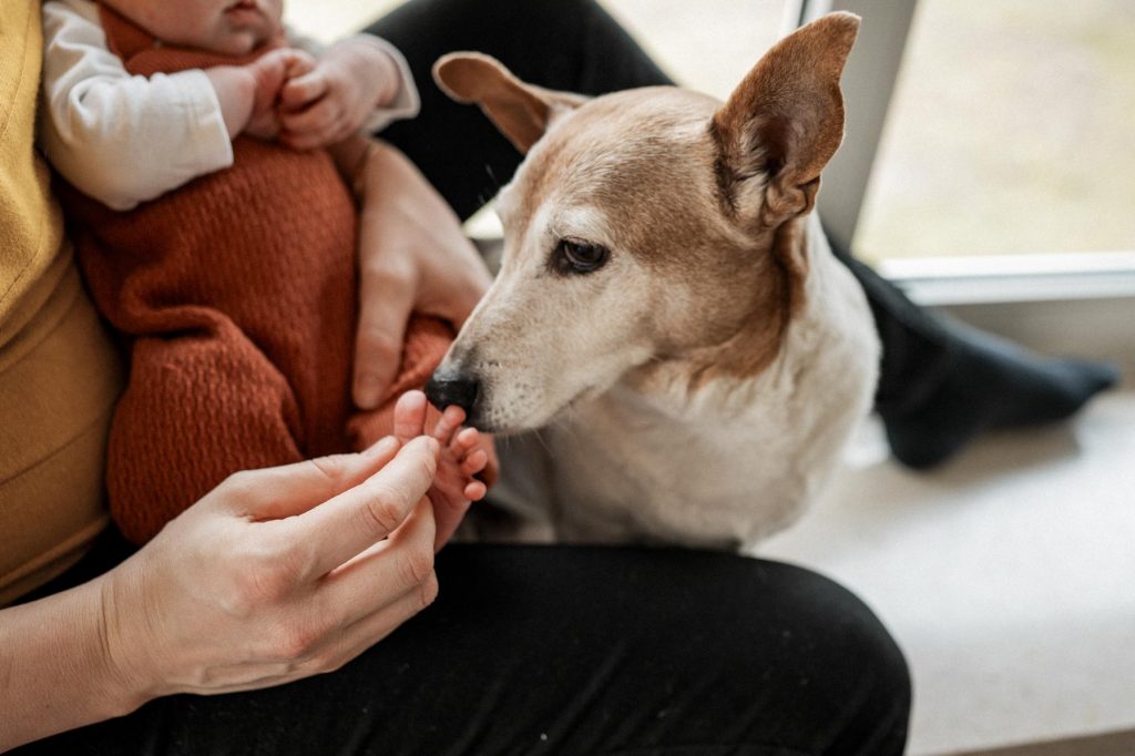 Babyshooting zu Hause Heilbronn